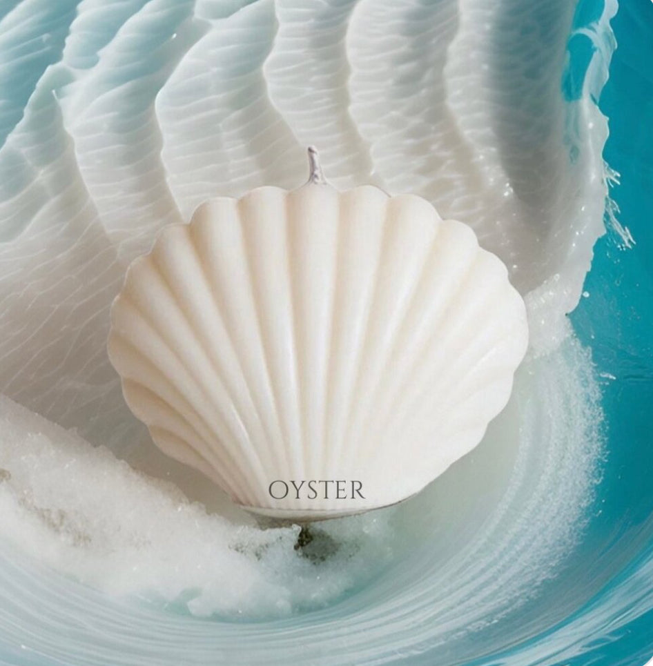 No.1 Oyster İstiridye Mum